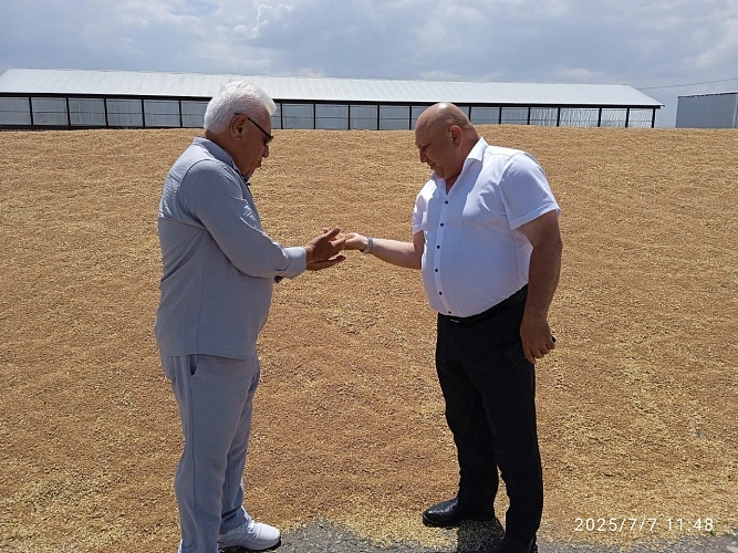 Фото: ГТРК-Алания