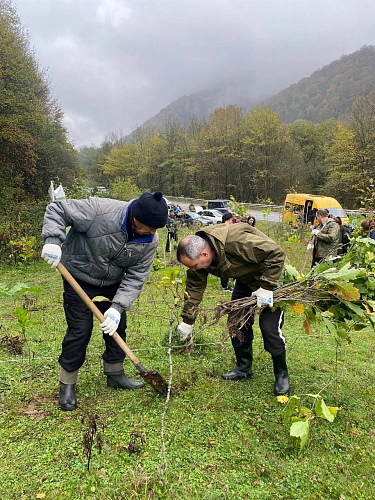 Фото: Ossetia News