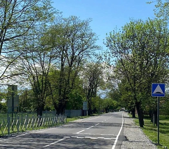 Фото: ТГ-канал С.Меняйло