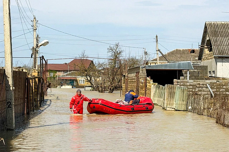 Фото: Ведомости 