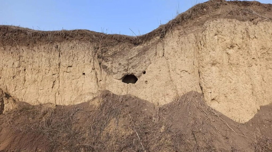 Фото: пресс-служба комитета по охране культурного наследия Северной Осетии