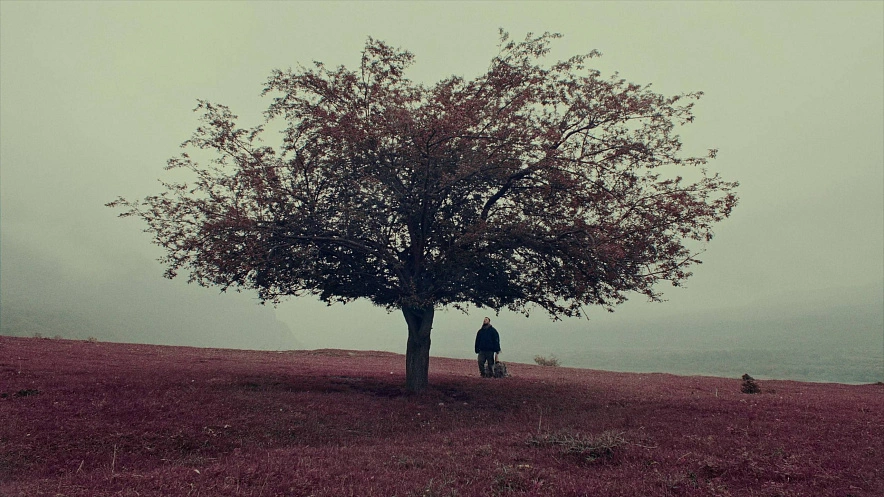 Фото: открытый источник