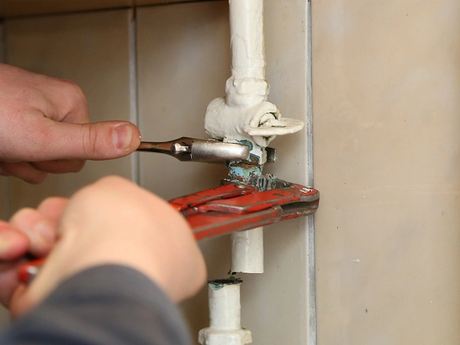 Фото: upch.mosreg.ru