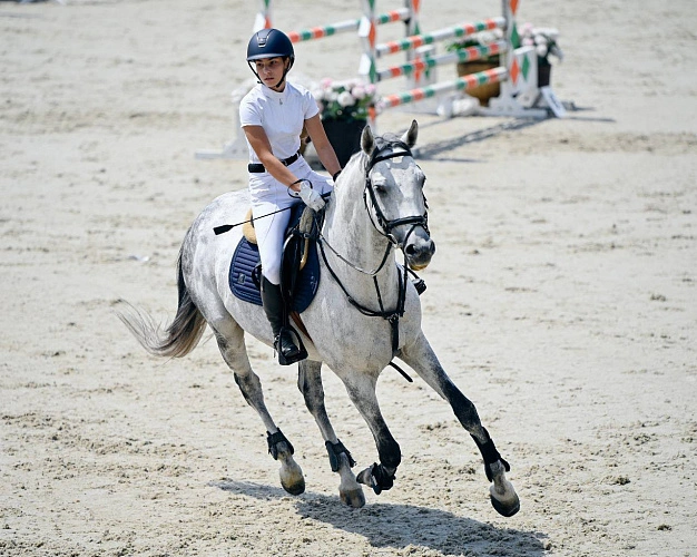 Фото: Открытый источник