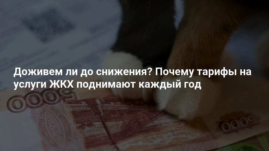 Фото: открытый источник