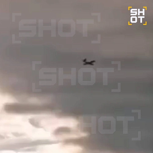 Фото: shot