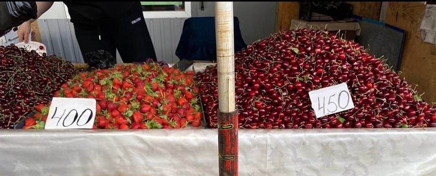 Фото: Фото: т/к "Старый Владикавказ"