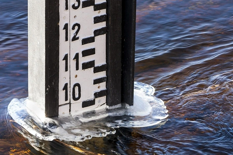 Фото: Открытый источник