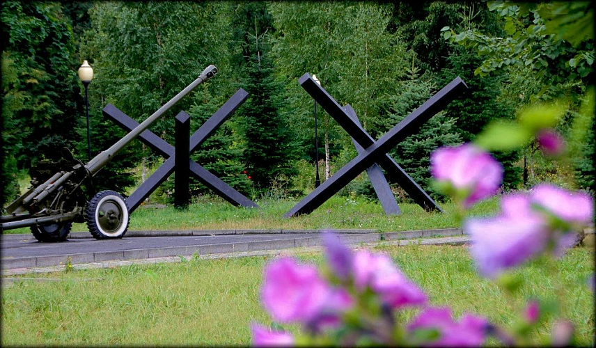 Фото: открытый источник