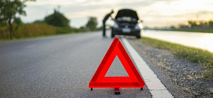 Фото: Ингосстрах 