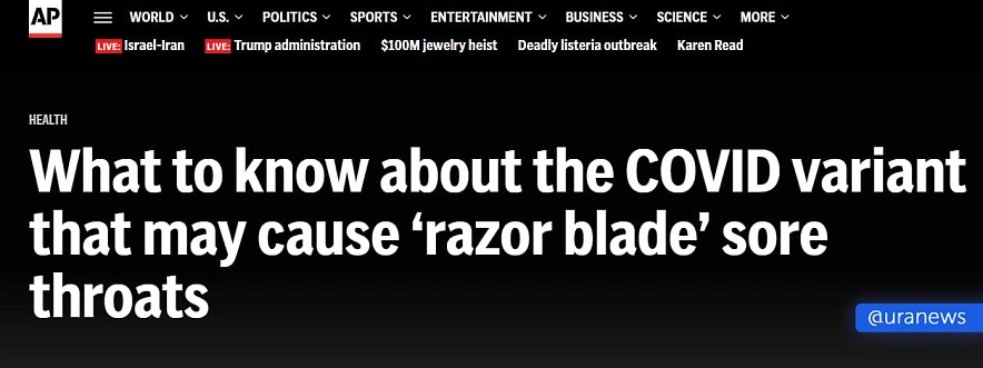 Фото: из открытых источников