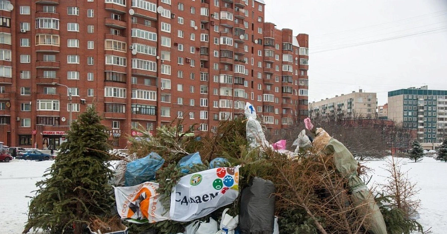 Фото: открытый источник