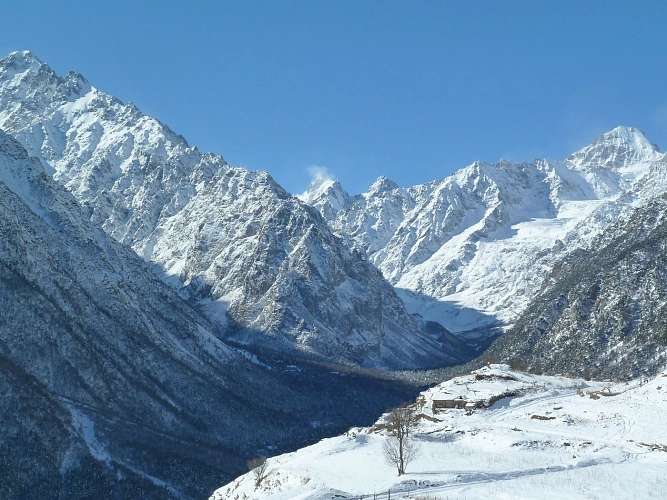 Фото: открытый источник