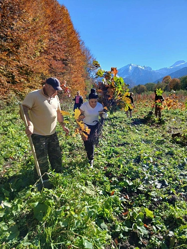 Фото: Ossetia.news