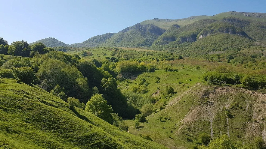 Фото: Открытый источник