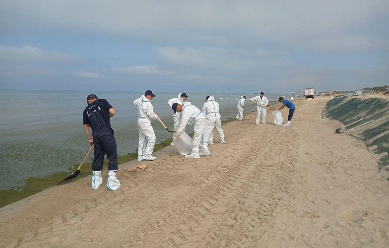 Фото: Фото Кубанский оперштаб