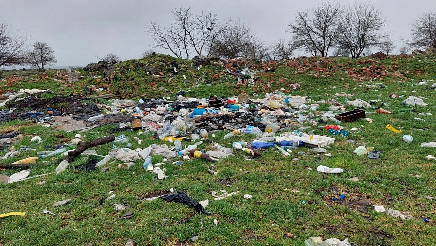 Фото: Россельхознадзор