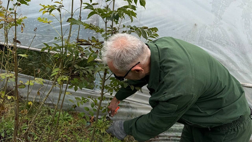 Фото: ВГТРК-Алания