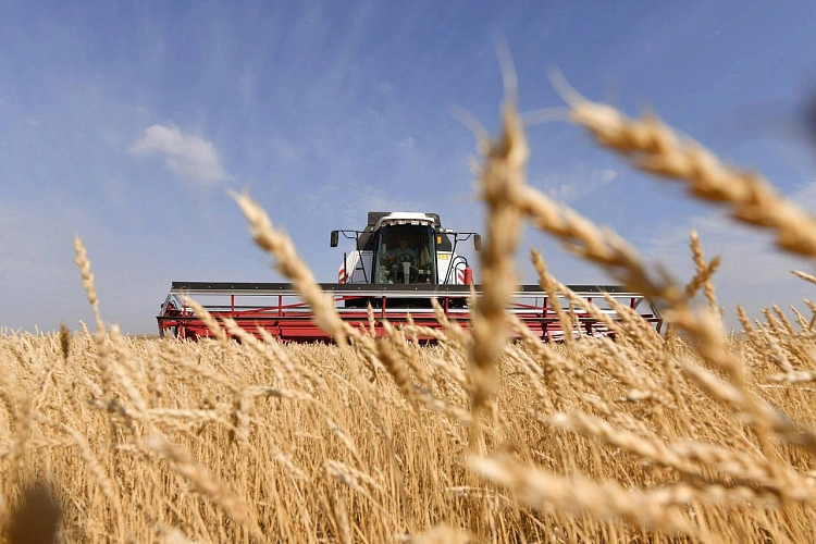 Фото: Телеграм-канал Сергея Меняйло 