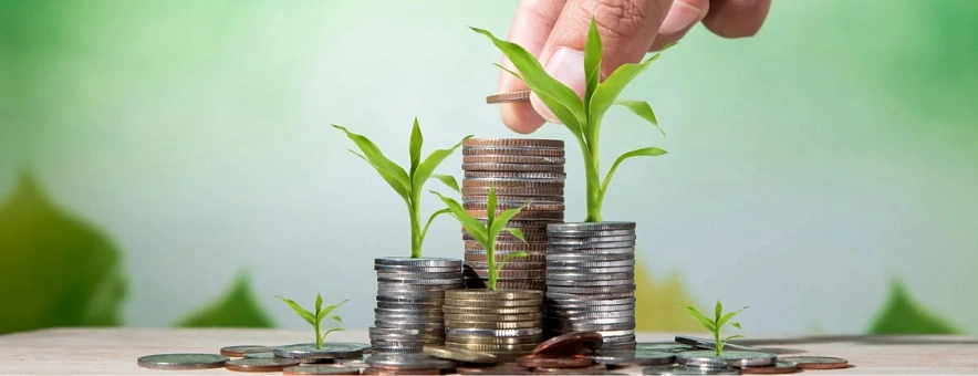 Фото: ФГБРУ «Центр агроаналитики»