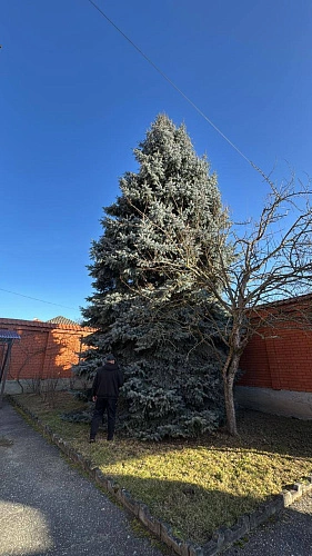 Фото: открытый источник