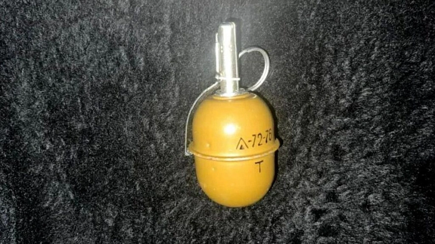 Фото: МВД Северной Осетии