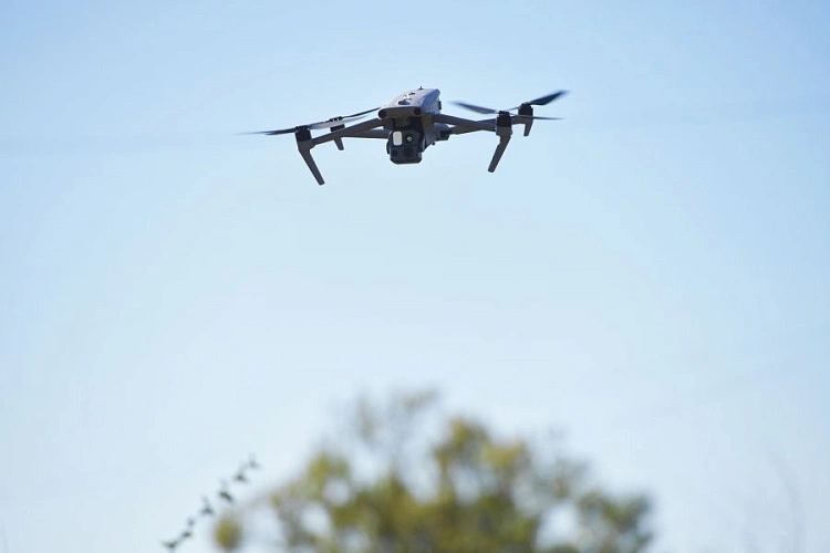 Фото: ИА Regnum