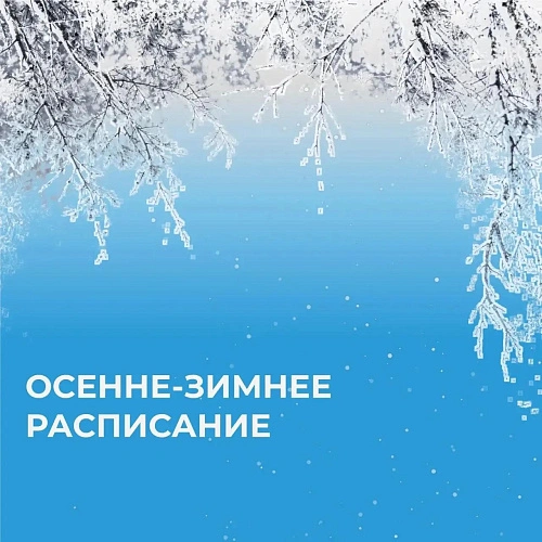 Фото: https://max.ru/id1511012960_biz