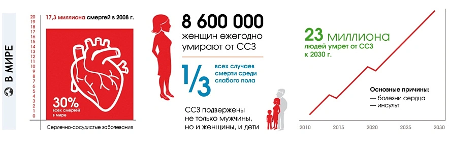 Фото: открытый источник