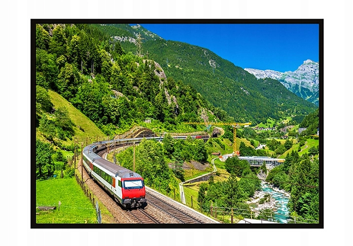 Фото: открытый источник