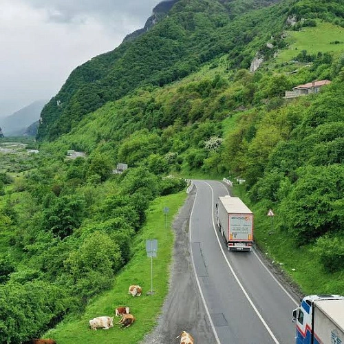 Фото: Открытый источник 