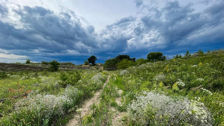 Фото: Коммерсант 