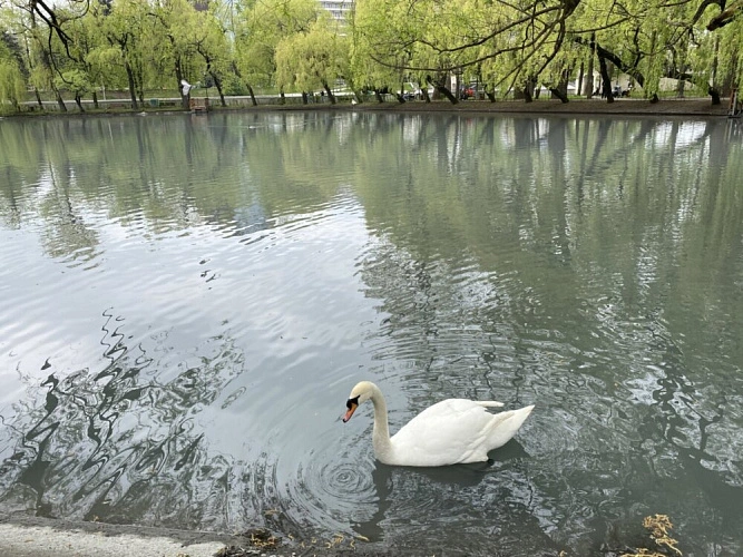Фото: vladgazeta.online