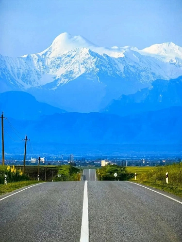 Фото: Пикабу