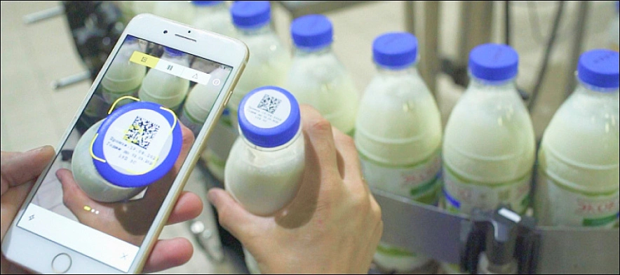 Фото: Открытый источник