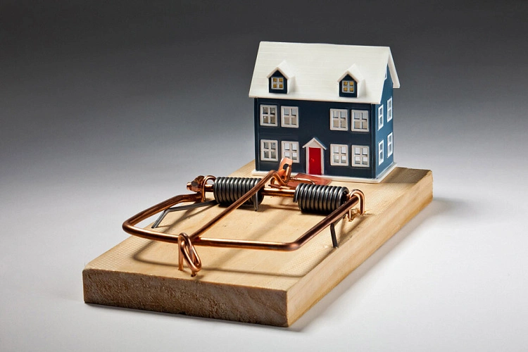 Фото: Открытый источник