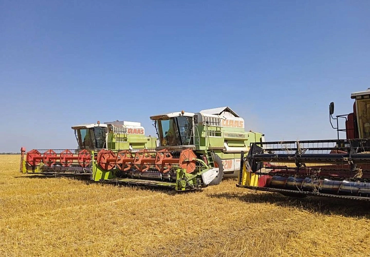 Фото: ГТРК-Алания