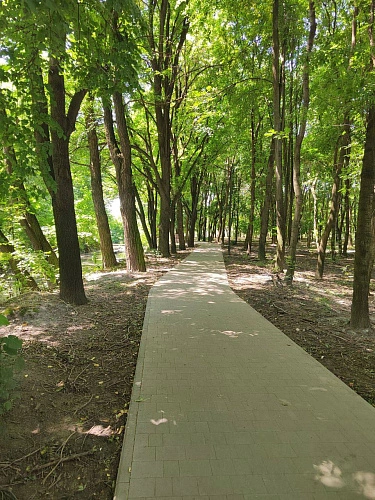 Фото: ТГ-АМС г. Владикавказа