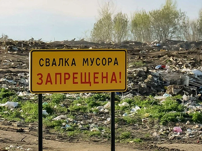 Фото: открытый источник
