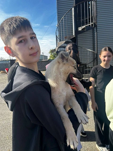 Фото: Пресс-служба АМС Владикавказ