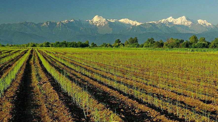 Фото: ИрИнформ