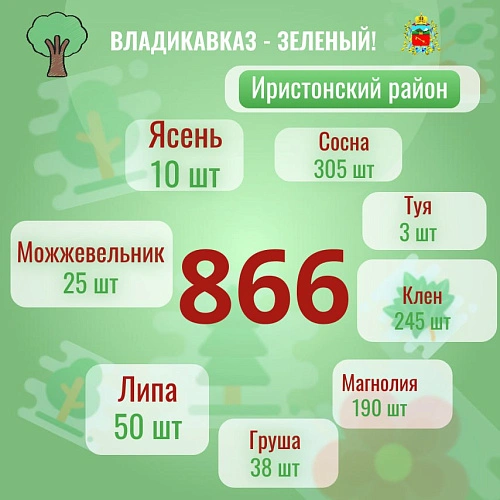 Фото: ФОТО АМС г. Владикавказ