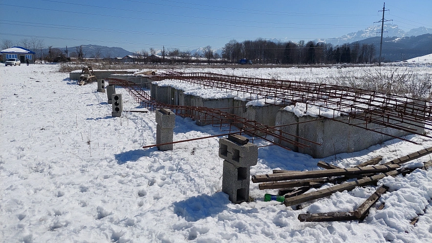 Фото: Пресс-служба Россельхознадзора