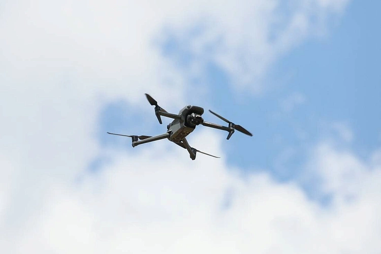 Фото: Фото из сети Интернет