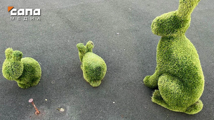 Фото: Сапа-15