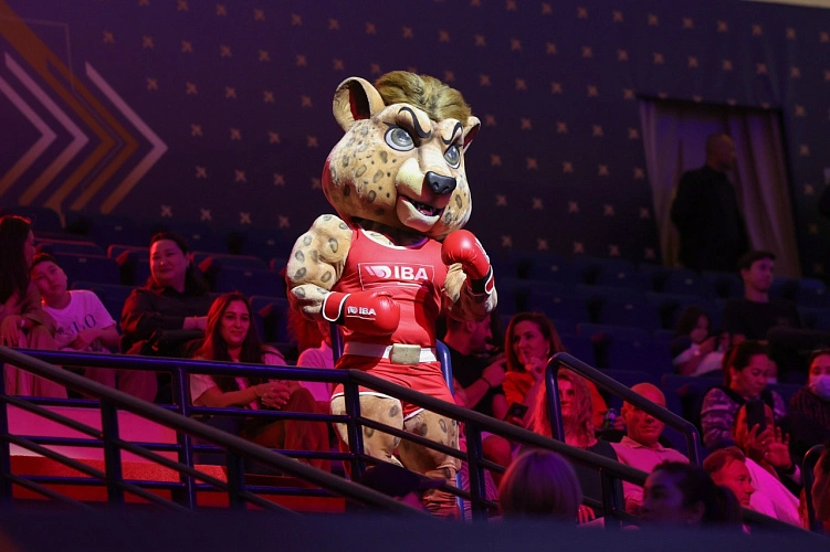 Фото: фото Федерация Бокса России