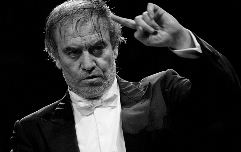 Фото: Открытый источник