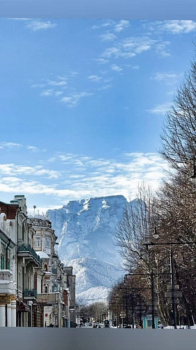 Фото: открытый источник