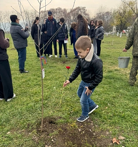 Фото: фото Алла Ахполова