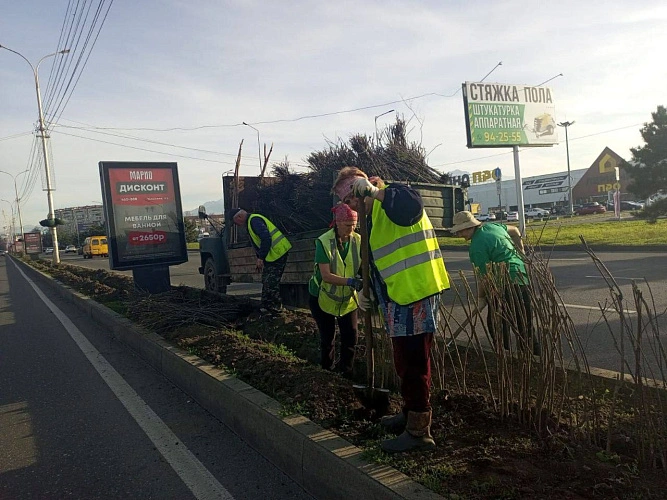 Фото: ВГТРК-Алания